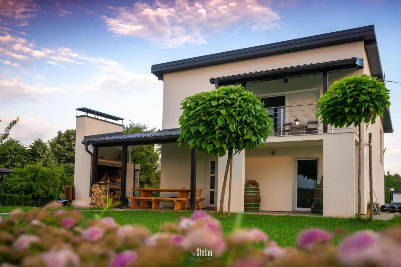 Kuce Za Odmor -Japin Breg Villa Ðurđevac Exterior foto