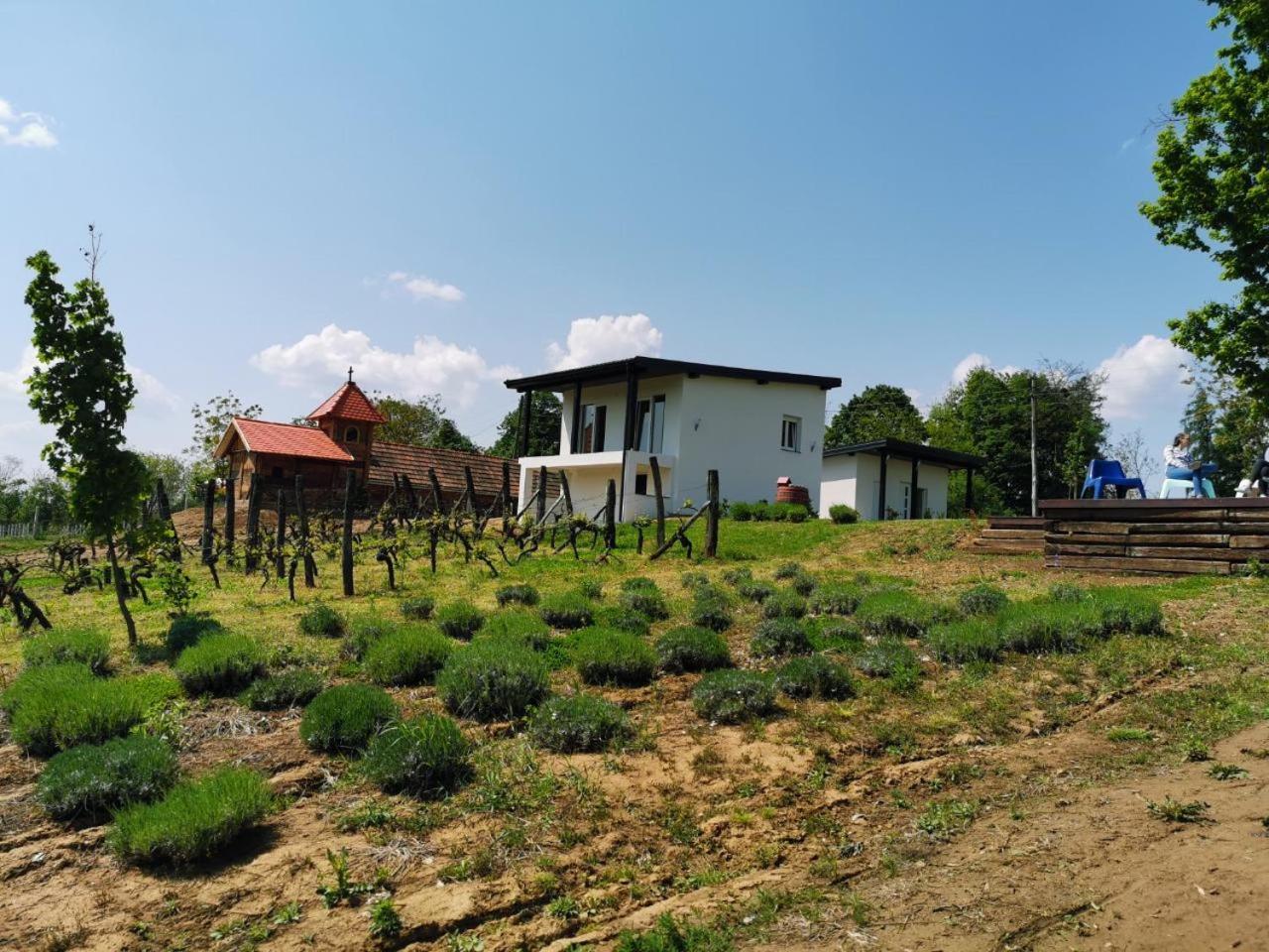 Kuce Za Odmor -Japin Breg Villa Ðurđevac Exterior foto